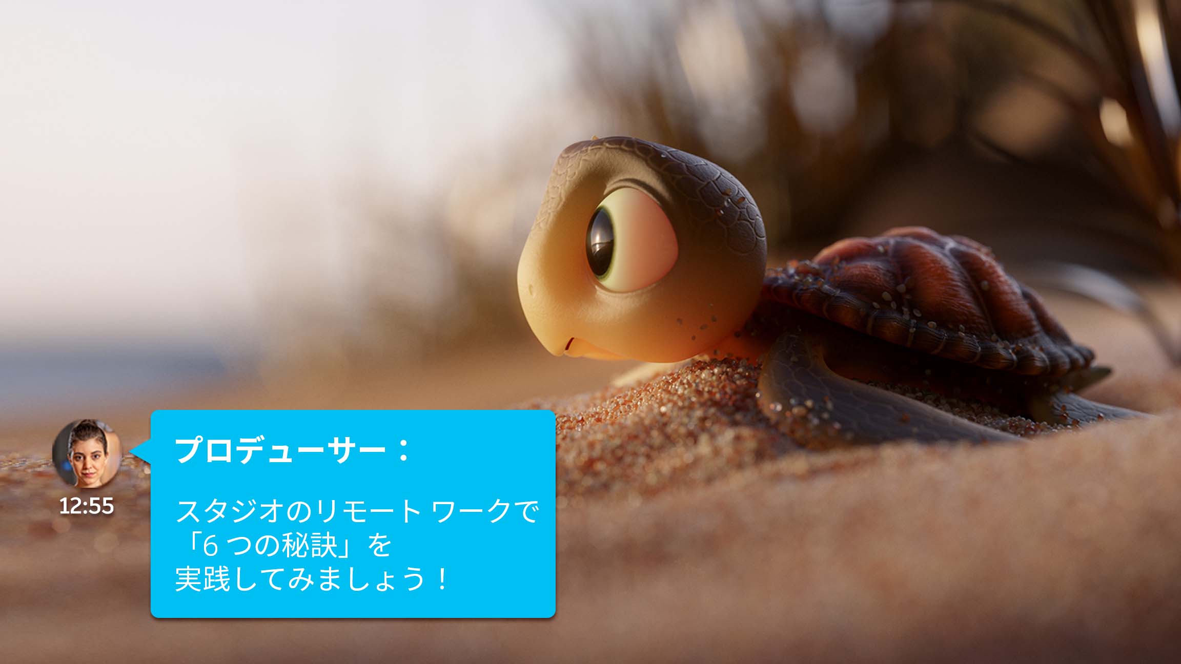 浜辺にいるカメのアニメーション