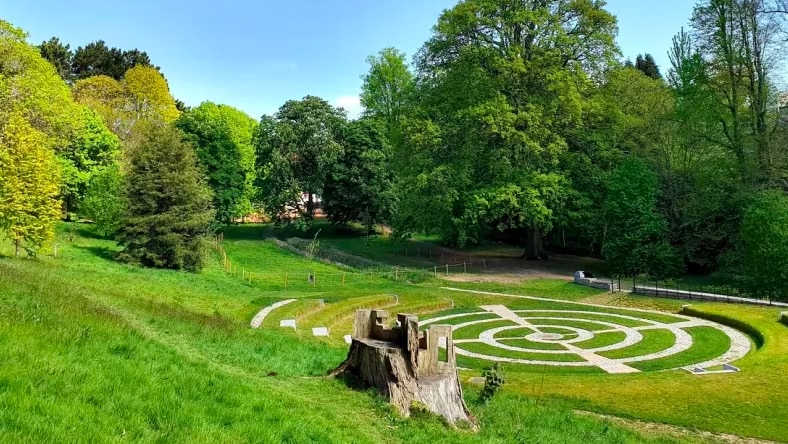 Grassy amphitheather intersected by paths with woods in the background