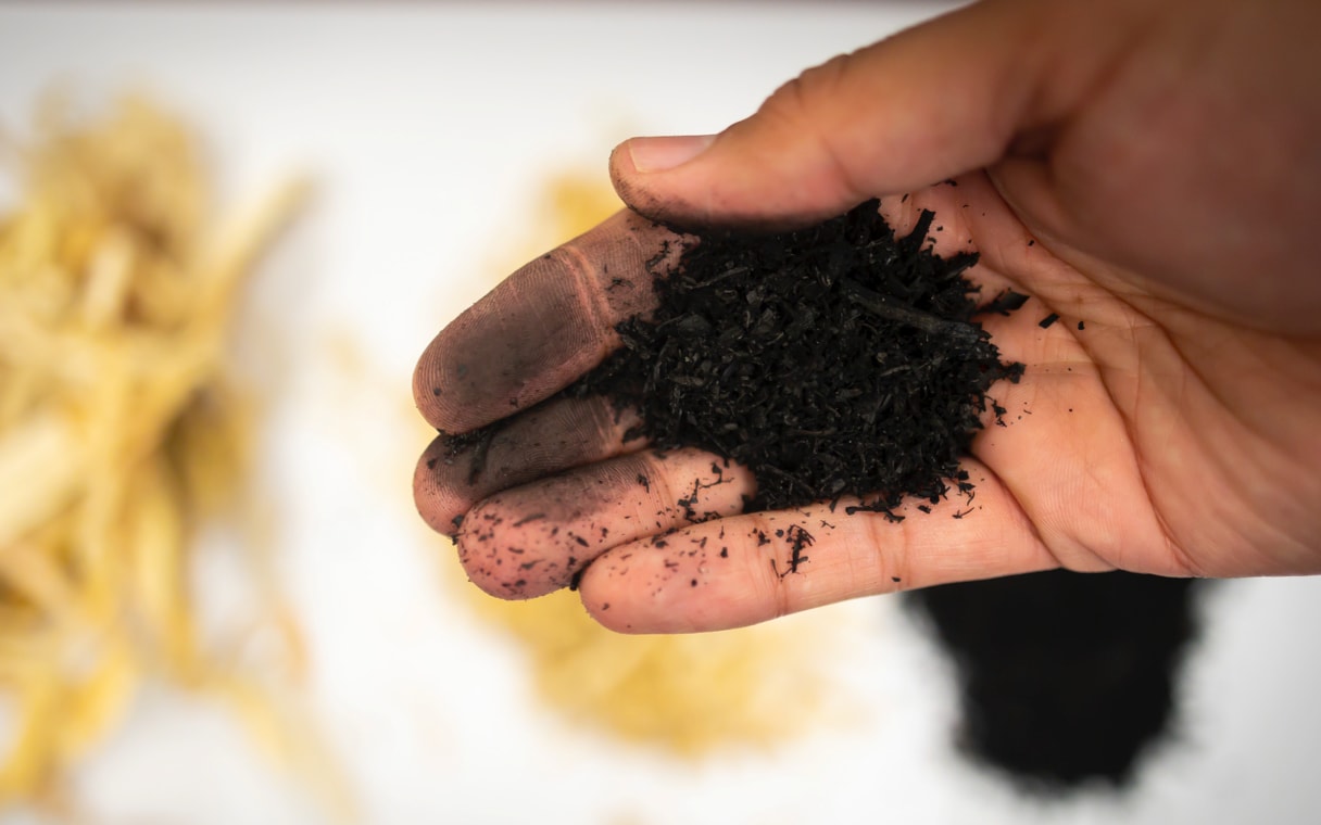 Close-up view of hand holding biochar with virgin biomass in the background.