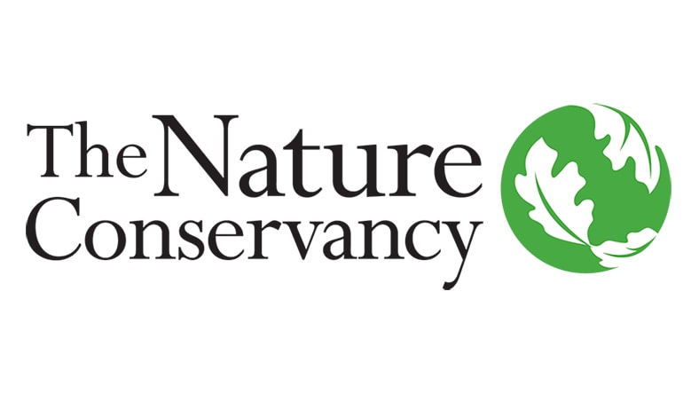 Engineering for Change logo