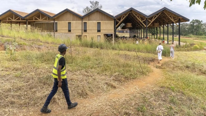 Close-up photo of two workers placing stones by hand along a retaining wall that is nearly as tall as them. Both workers are wearing hats, standing between the retaining wall and a partially built stone wall that stands behind them. A mostly leafless tree appears in the top-left corner of the photo, with a patch of grassy field visible beneath it, above the edge of the stone wall. Weather is hazy but sunny.