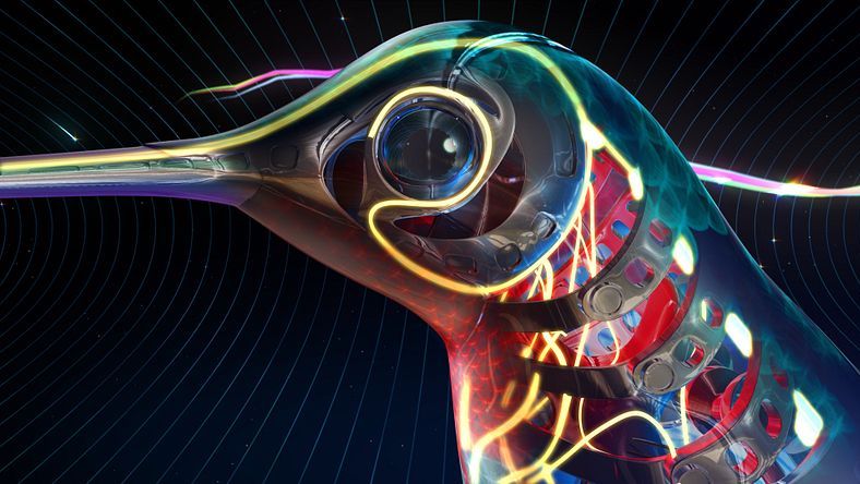 Animation and rigging