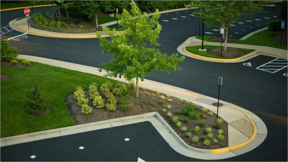 A parking lot showcases lush landscape elements including trees.
