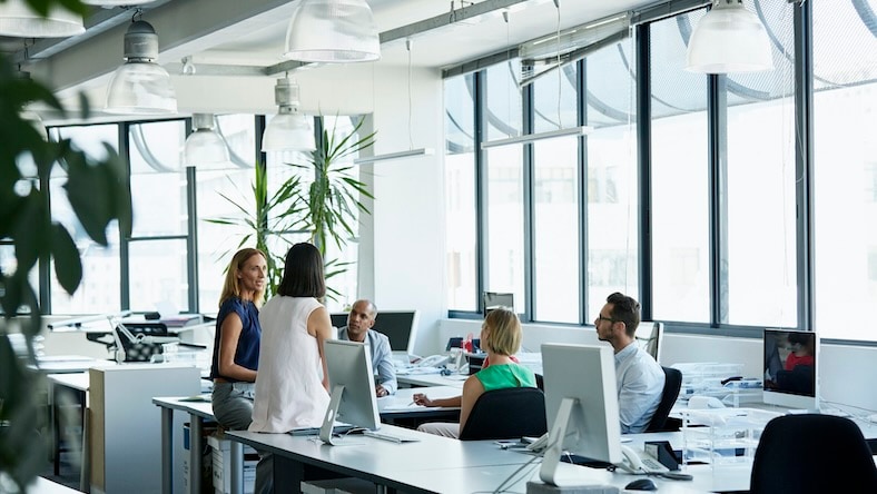 A team of professionals are talking in a bright office.