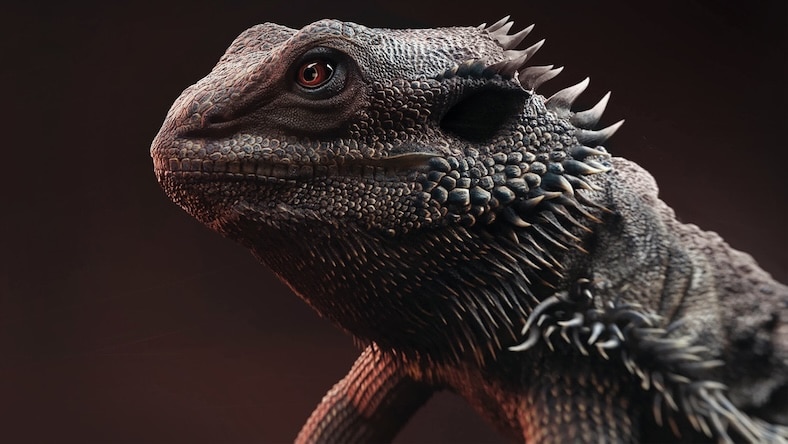 3D rendering of a bearded dragon