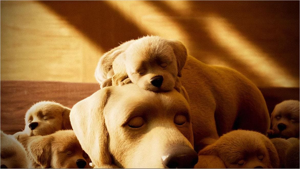 A computer rendering shows a pile of puppies in warm light.