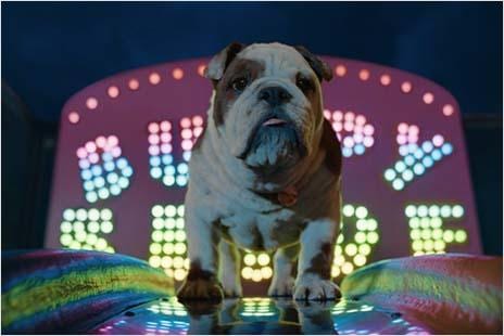 A computer-generated image of a dog is surrounded by lights.