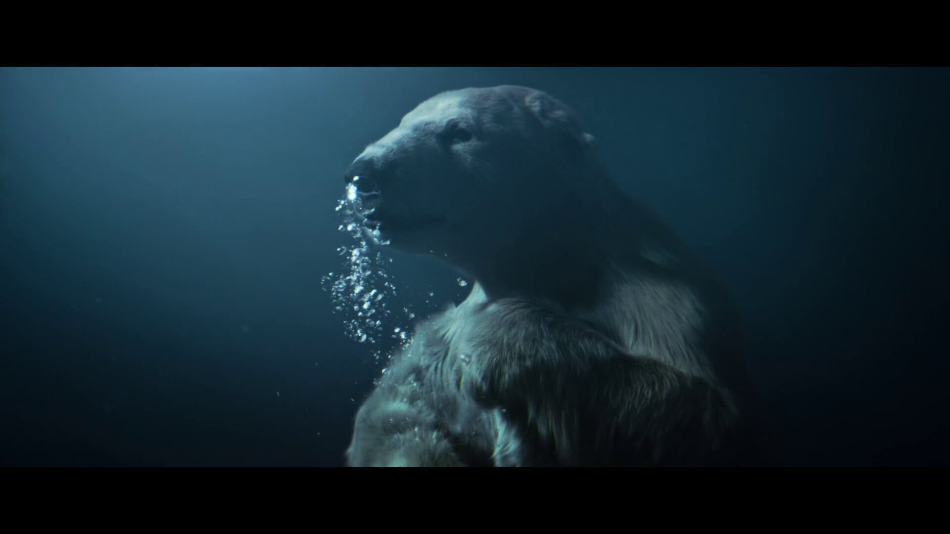 A polar bear underwater with bubbles streaming out of its nose.
