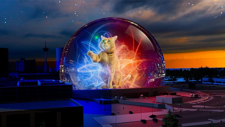 sphere with cat image