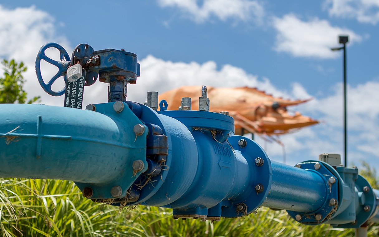 water distribution pipe