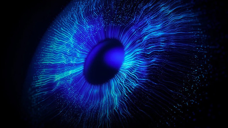 类似眼睛的蓝色入口插图