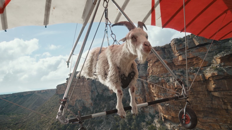 Mountain goat paragliding