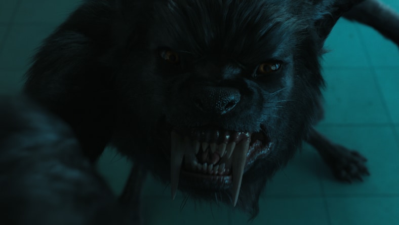 Grimacing werewolf