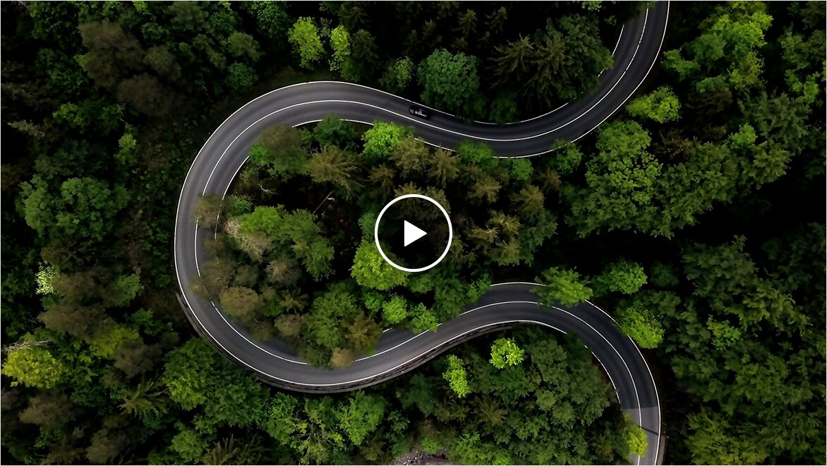 视频预览图片，显示穿越树木的环形道路