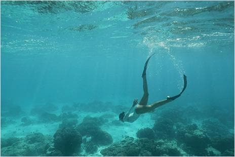 Person with diving fins swimming in ocean close to coral