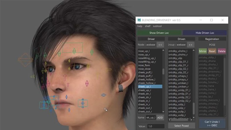 Facial rigging