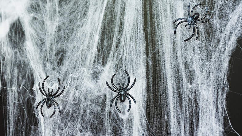 Into the Spider-Verse