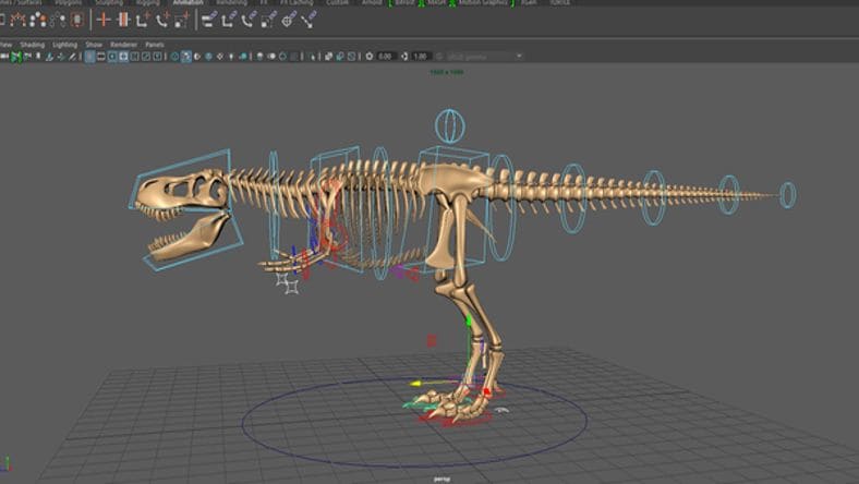3D dinosaur rigging in animation software