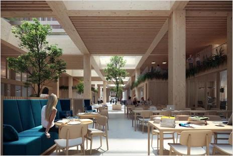 interior of mass timber building