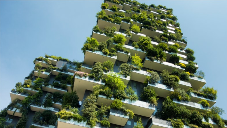 Brilliance Award for Planet First