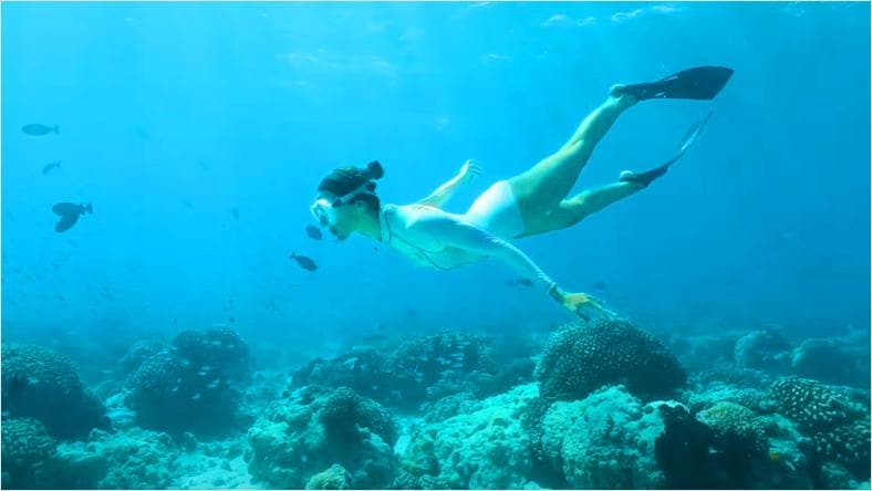 Femme en maillot de bain blanc, nageant sous l'eau avec des palmes, entourée de coraux et de poissons.
