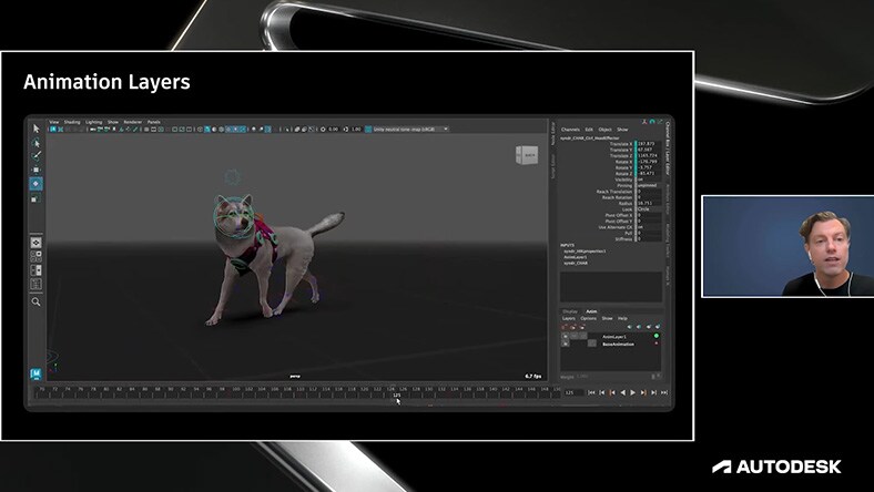 Autodesk Maya's interface, specifically focusing on the "Animation Layers" feature.