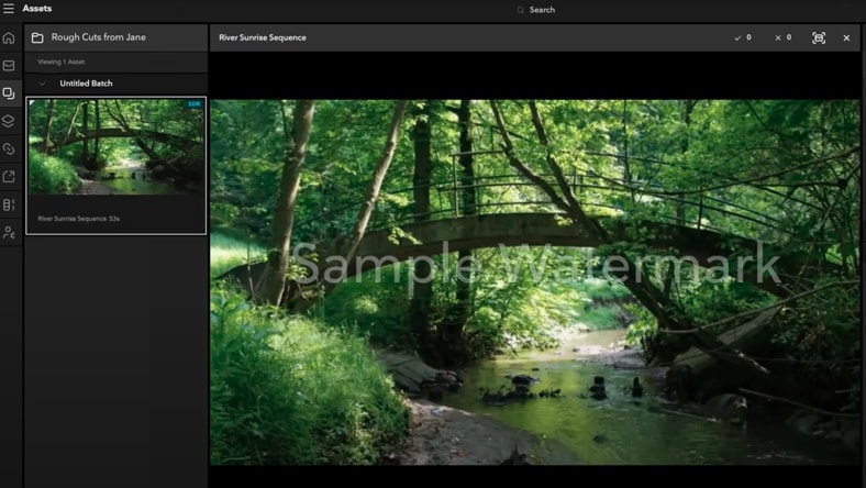 Forensic and burnt-in watermarking in Flow Capture