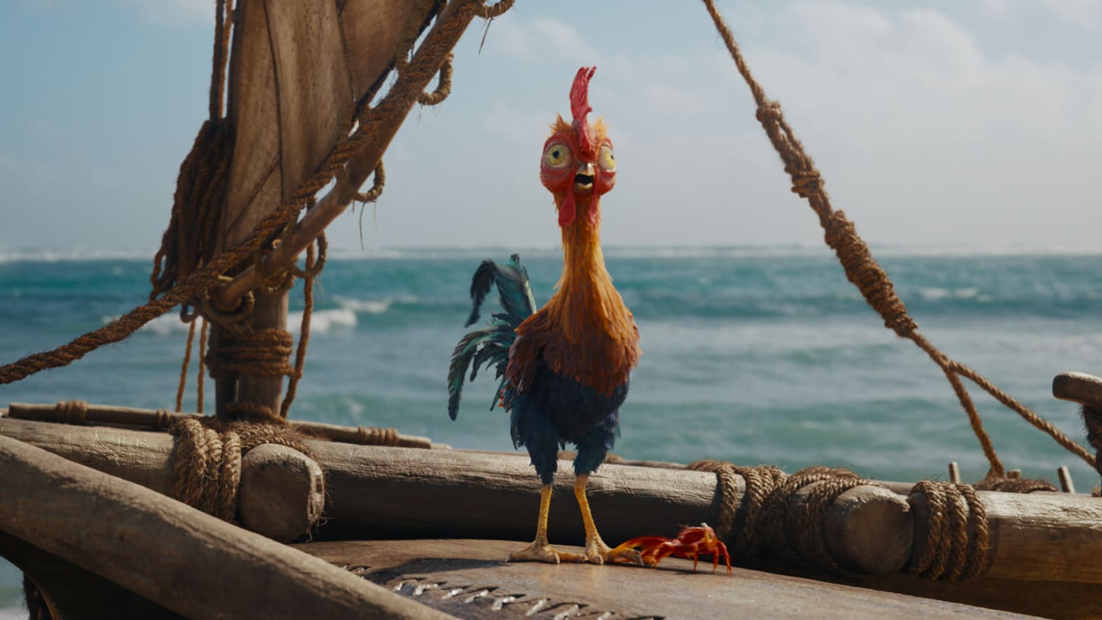 Heihei from Disney's Moana