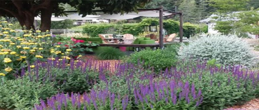 자연스럽게 설계한 꽃 정원