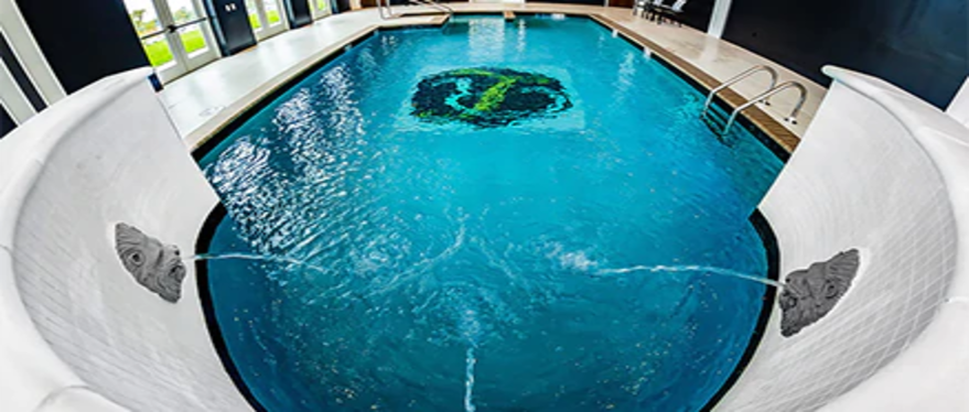 传统保护区的室内泳池