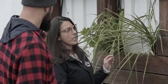 A woman with glasses and long dark hair shows a decorative plant to a man in a beanie and plaid shirt. They are standing outdoors, and the plant is in a wooden planter attached to a wall.