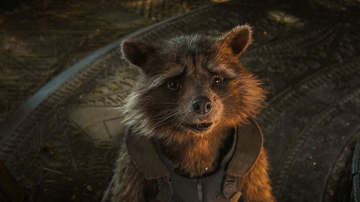 A sad-looking 3D rendered raccoon