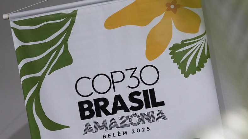 COP30 Brazil logo on a document