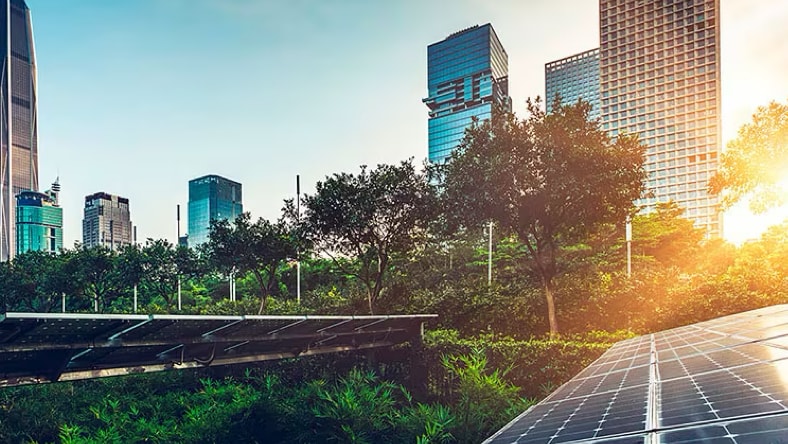 Landscape view of a city skyline from the ground level, with two rows of long solar panels in the foreground, surrounded by trees. The sun is shining through a tree on the right, reflecting off of one of the rows of solar panels.
