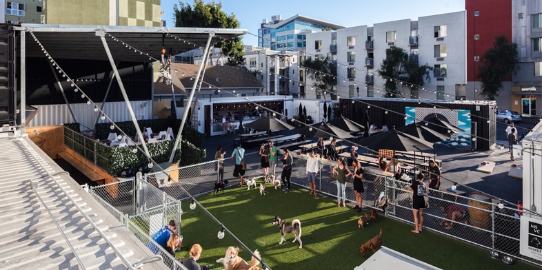 A view of Quartyard II shows dogs and their owners enjoying the dog park.