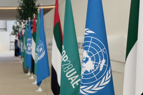 UN, COP28 flags