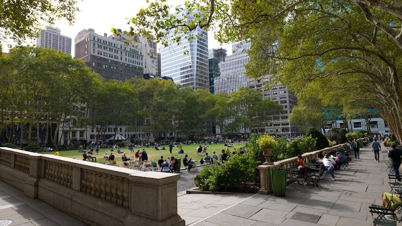 People eat lunch in a clearing in a tree-lined city park.