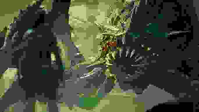 Animation of a green character with multiple legs, sharp teeth, and several red eyes 