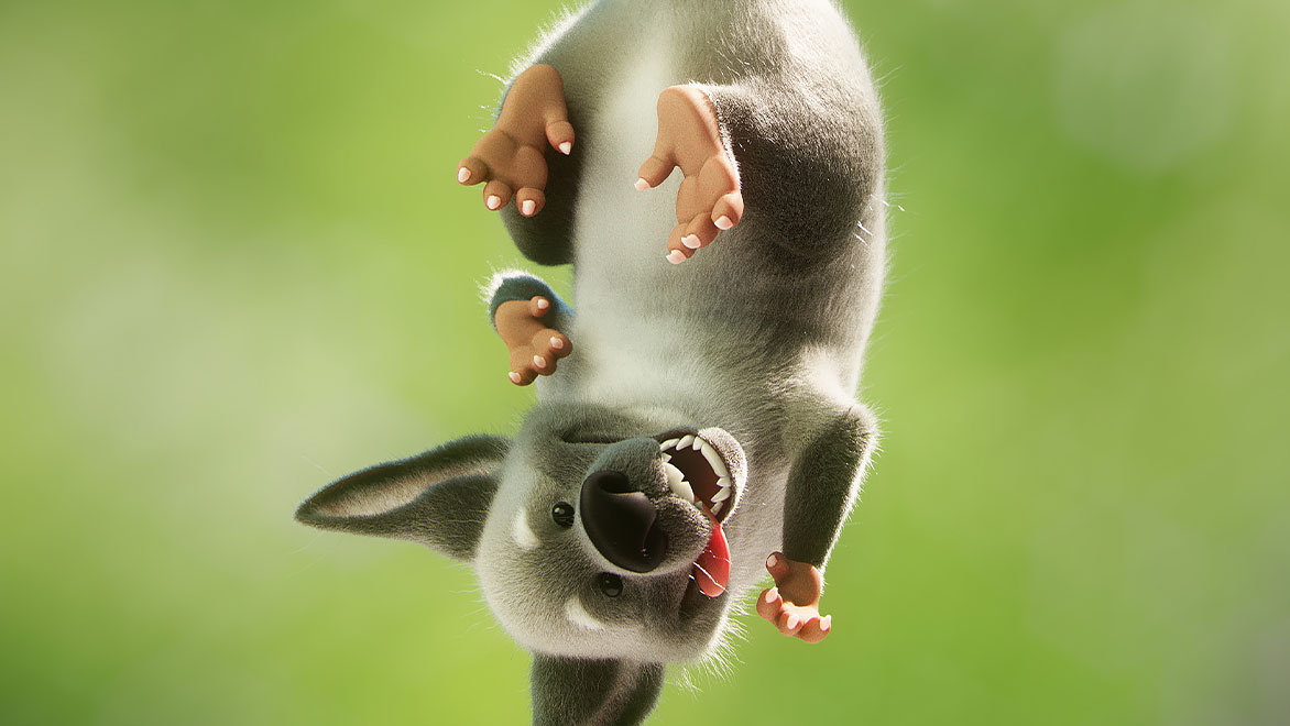 Gray possum hanging upside-down from a branch 