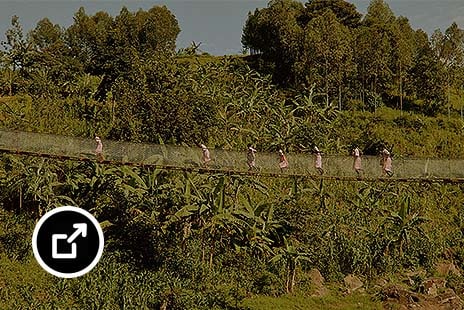 Personen überqueren eine Hängebrücke, die über eine grüne Landschaft gespannt ist