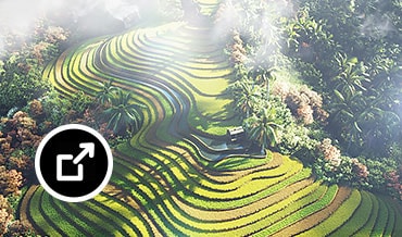 Vue aérienne d'un paysage tropical vietnamien