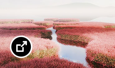 Paisaje con flores rosadas junto a un río