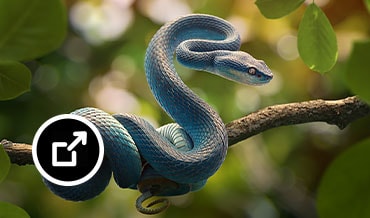 Una serpiente azul se desliza por una rama de árbol 