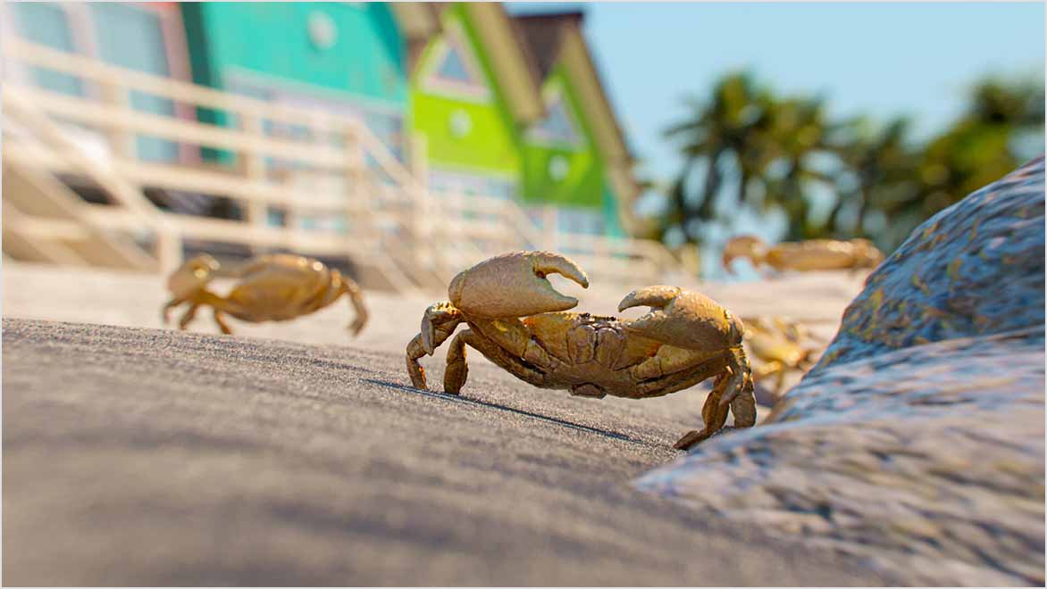 Crabs traversing through the sand at a beach resort