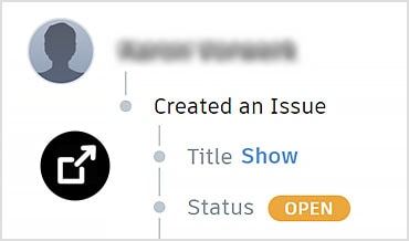 Issues window showing activity and history for an open issue 