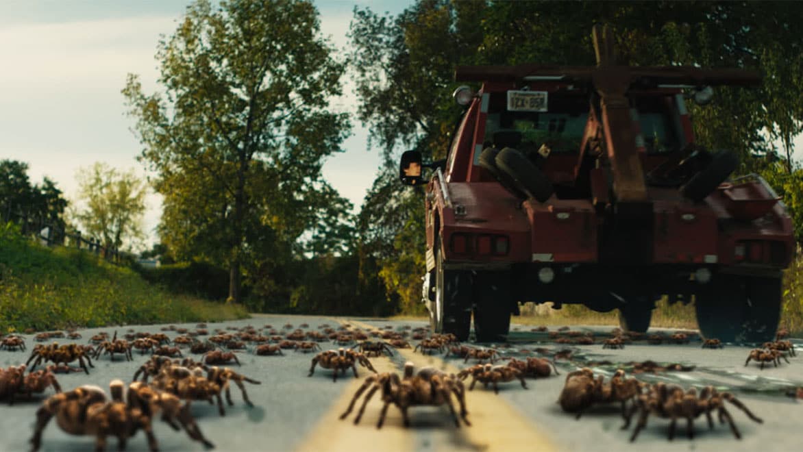 Giant spiders on country road