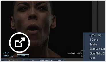 Flame user interface showing human face extraction keyer