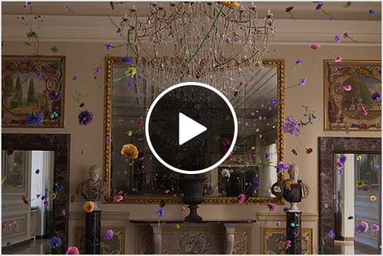 视频:Bulgari:Unexpected Wonders 短片