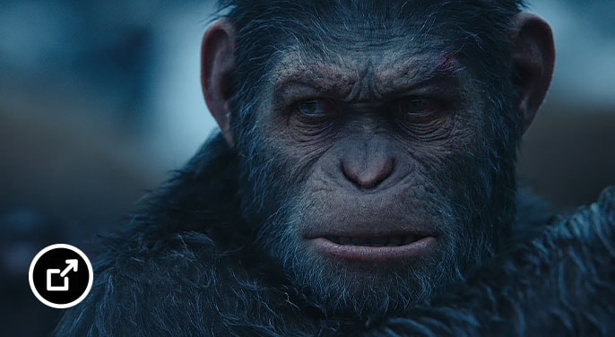 Ape from War for the Planet of Apes