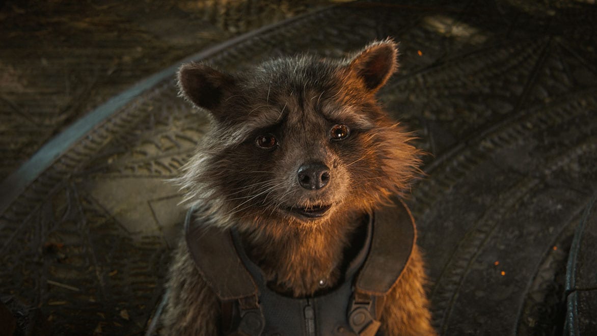Rocket the raccoon in Avengers: Endgame